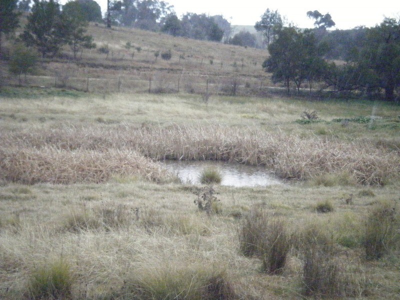 Lot 3 Bulleys Crossing Road, Biala NSW 2581