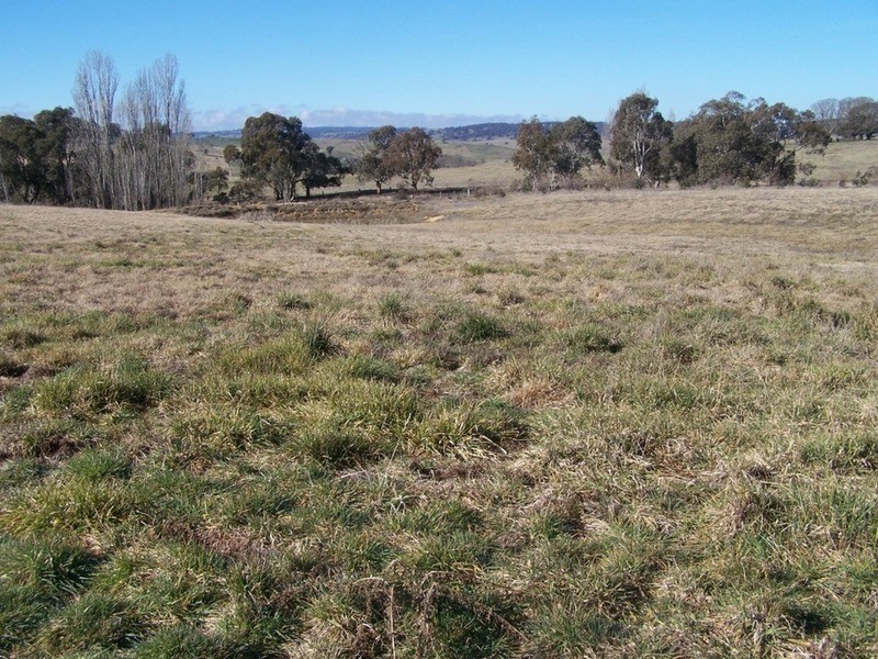 “Chatsworth” 660 Woodville Road, Binda NSW 2583