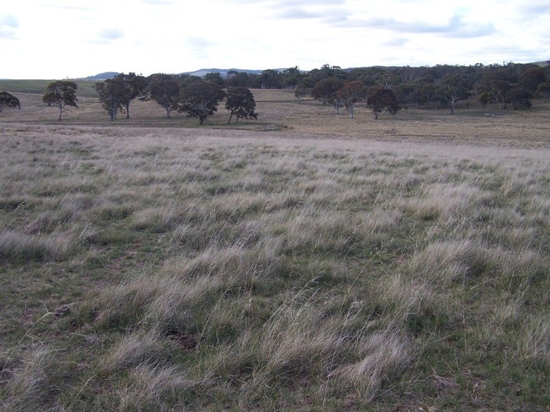 Lot 5 Kooringaroo Road, Goulburn NSW 2580