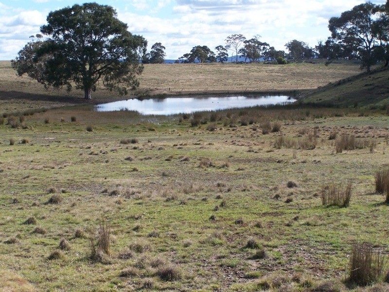 Lot 5 Kooringaroo Road, Goulburn NSW 2580