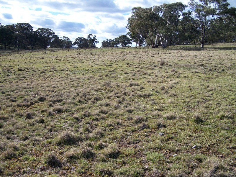 Lot 5 Kooringaroo Road, Goulburn NSW 2580