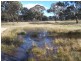 Lot 5 Kooringaroo Road, Goulburn NSW 2580