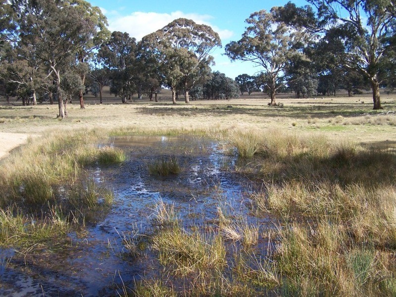 Lot 5 Kooringaroo Road, Goulburn NSW 2580
