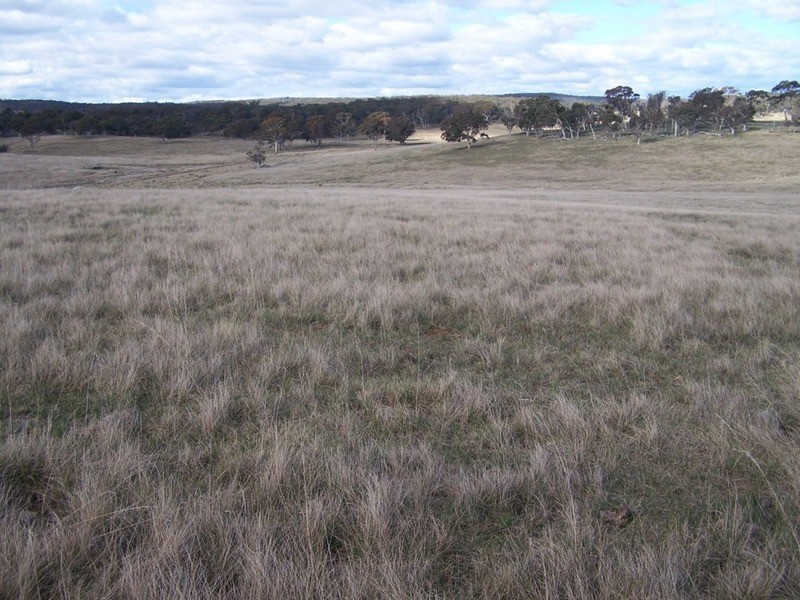 Lot 5 Kooringaroo Road, Goulburn NSW 2580