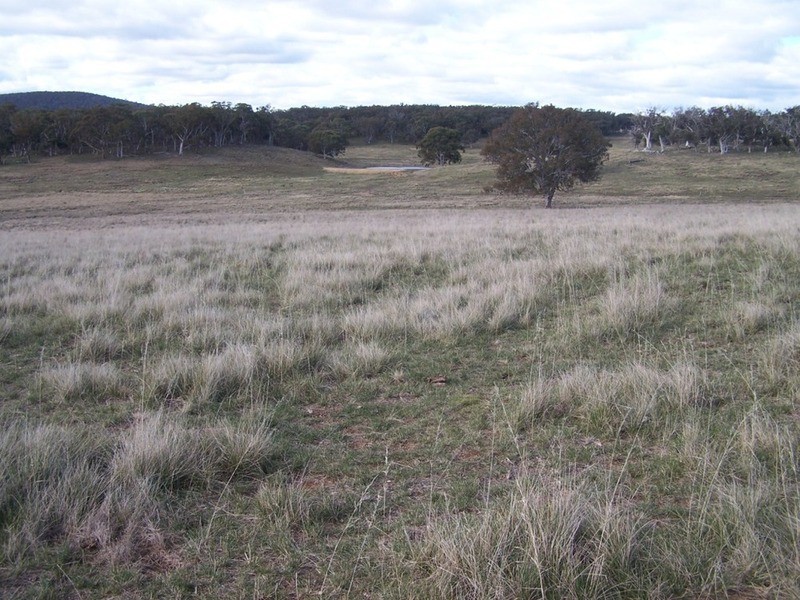 Lot 5 Kooringaroo Road, Goulburn NSW 2580