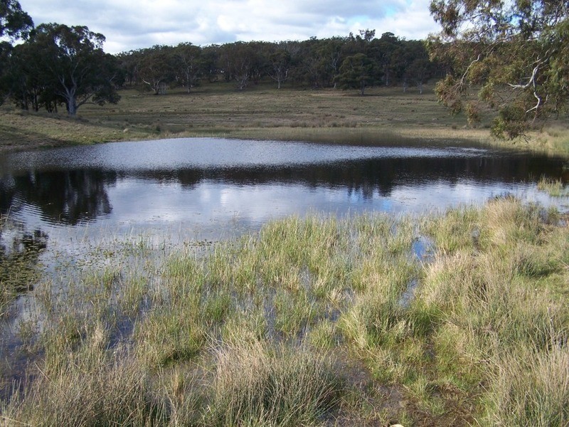 Lot 5 Kooringaroo Road, Goulburn NSW 2580