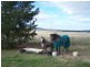 3602 Lumley Road, Tarago NSW 2580