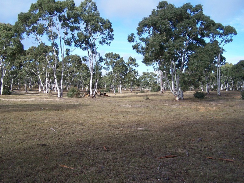 60 Scribbly Gum Avenue, Tallong NSW 2579