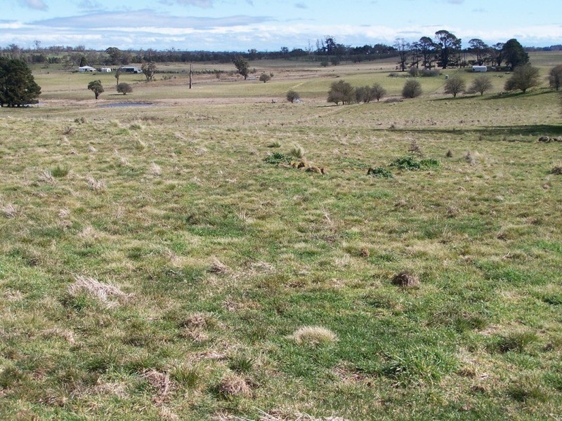 3598 Range Road, Grabben Gullen NSW 2583