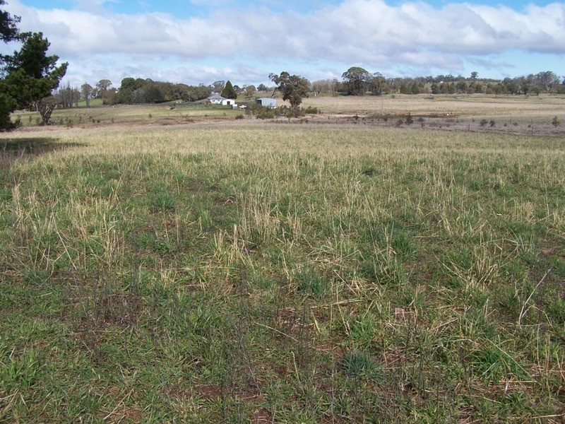 3598 Range Road, Grabben Gullen NSW 2583