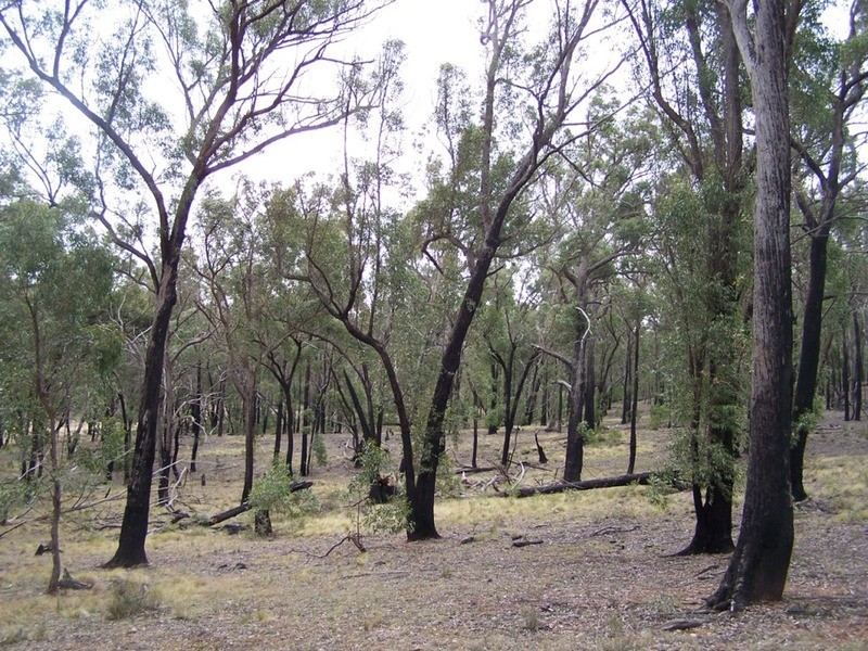 86 Garmoran Valley Road, Marulan NSW 2579