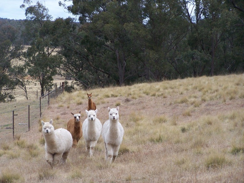 86 Garmoran Valley Road, Marulan NSW 2579