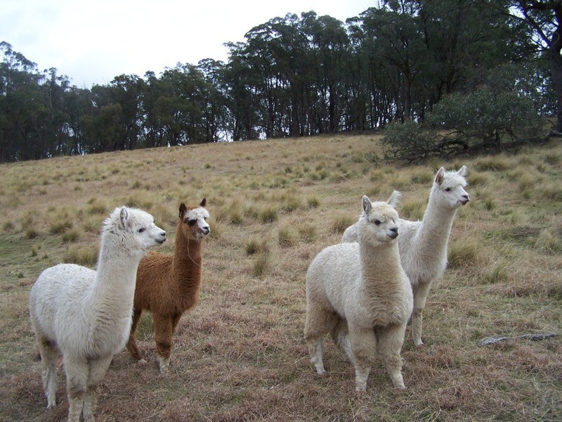 86 Garmoran Valley Road, Marulan NSW 2579