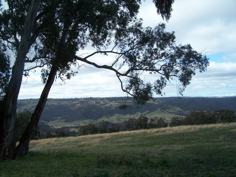 2255 Fullerton Road, Fullerton NSW 2583