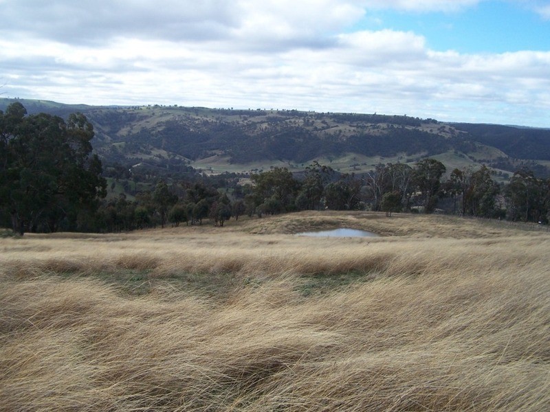 2255 Fullerton Road, Fullerton NSW 2583