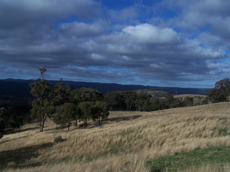 2255 Fullerton Road, Fullerton NSW 2583