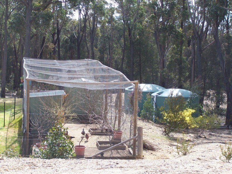 2555 Towrang Road, Towrang NSW 2580