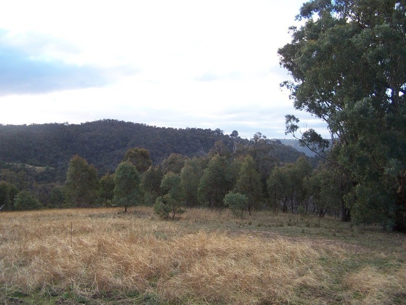 2255 Fullerton Road, Fullerton NSW 2583
