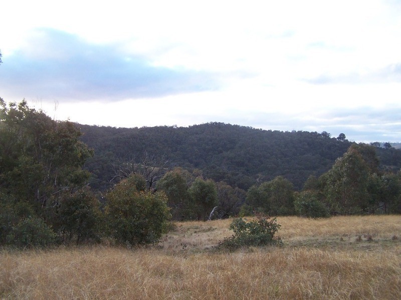 2255 Fullerton Road, Fullerton NSW 2583