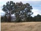 2255 Fullerton Road, Fullerton NSW 2583