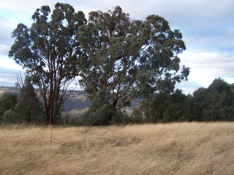2255 Fullerton Road, Fullerton NSW 2583