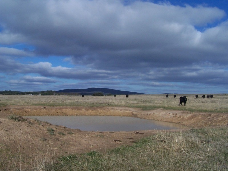 3602 Lumley Road, Tarago NSW 2580