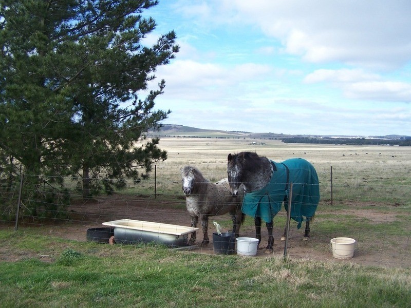 3602 Lumley Road, Tarago NSW 2580