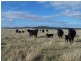 3602 Lumley Road, Tarago NSW 2580