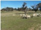 “Chatsworth”/660 Woodville Road, Binda NSW 2583