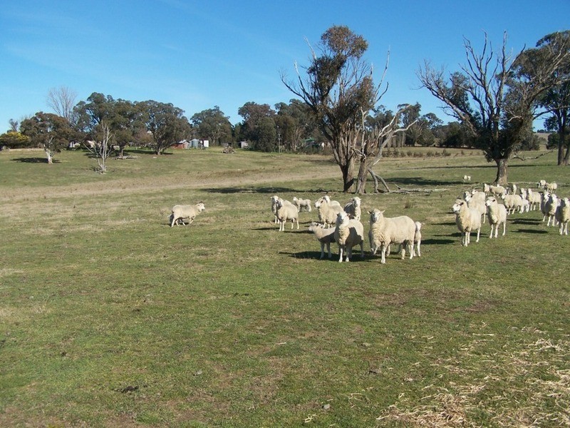 “Chatsworth”/660 Woodville Road, Binda NSW 2583