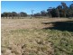 “Chatsworth”/660 Woodville Road, Binda NSW 2583