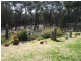 2555 Towrang Road, Towrang NSW 2580