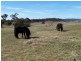16 Faithfull Road, Quialigo NSW 2580
