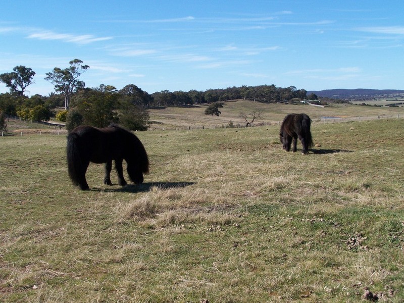 16 Faithfull Road, Quialigo NSW 2580