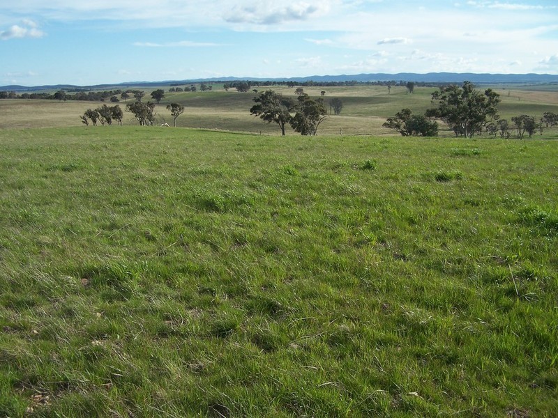 “Adore Park” Kooringaroo Road, Goulburn NSW 2580