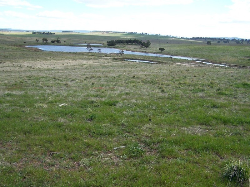 “Adore Park” Kooringaroo Road, Goulburn NSW 2580