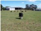 “Adore Park” Kooringaroo Road, Goulburn NSW 2580