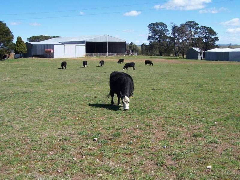 “Adore Park” Kooringaroo Road, Goulburn NSW 2580
