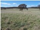 “Adore Park” Kooringaroo Road, Goulburn NSW 2580