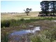 “Adore Park” Kooringaroo Road, Goulburn NSW 2580