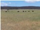 “Adore Park” Kooringaroo Road, Goulburn NSW 2580