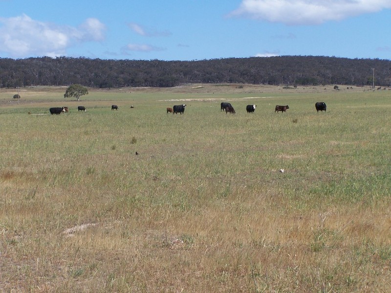 “Adore Park” Kooringaroo Road, Goulburn NSW 2580