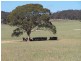 “Adore Park” Kooringaroo Road, Goulburn NSW 2580