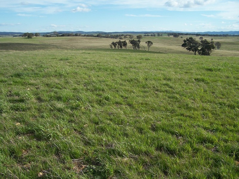 “Adore Park” Kooringaroo Road, Goulburn NSW 2580