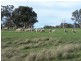 “Yallundry”  420 Rosemont Road, Goulburn NSW 2580