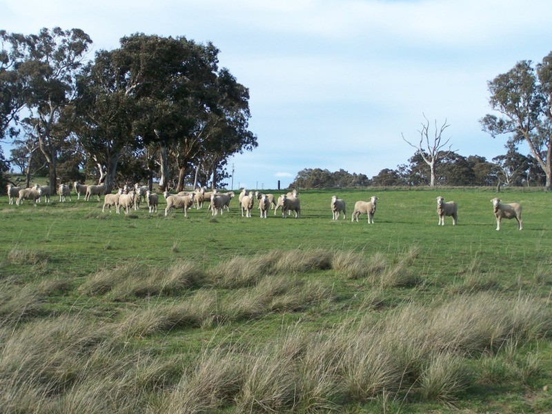“Yallundry”  420 Rosemont Road, Goulburn NSW 2580