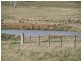 “Yallundry”  420 Rosemont Road, Goulburn NSW 2580