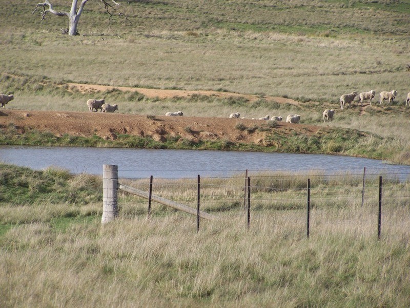 “Yallundry”  420 Rosemont Road, Goulburn NSW 2580