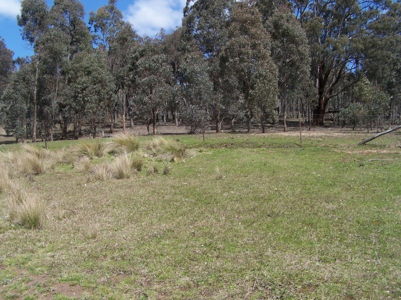 505 Back Arm Road, Middle Arm NSW 2580