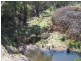 505 Back Arm Road, Middle Arm NSW 2580